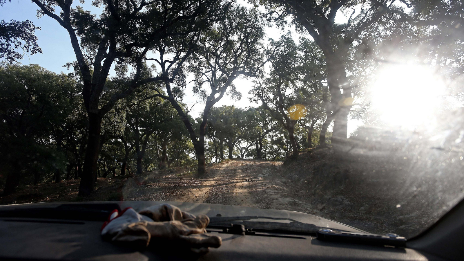 Las mejores fotos de la cueva de la Laja Alta