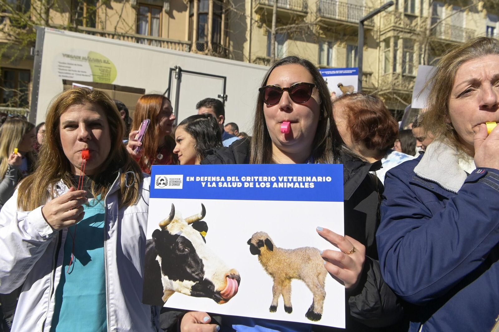 Las mejores imágenes de la manifestación de 300 veterinarios en Granada