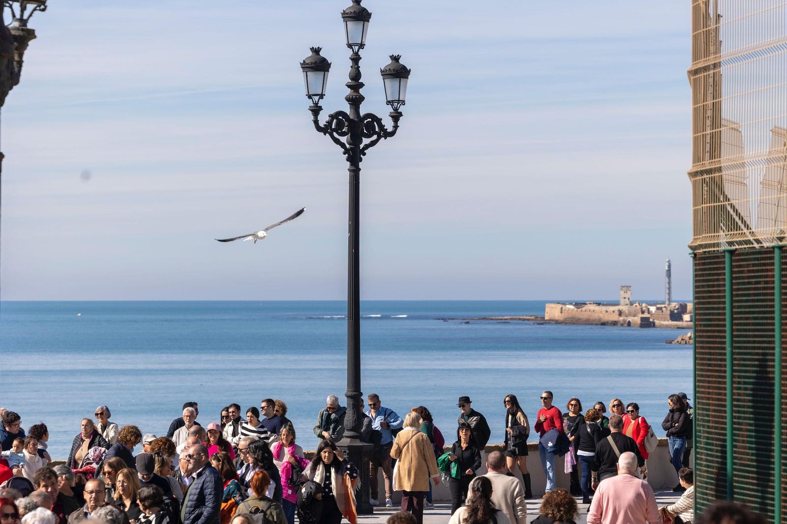Búscate en las imágenes de la mejillonada popular
