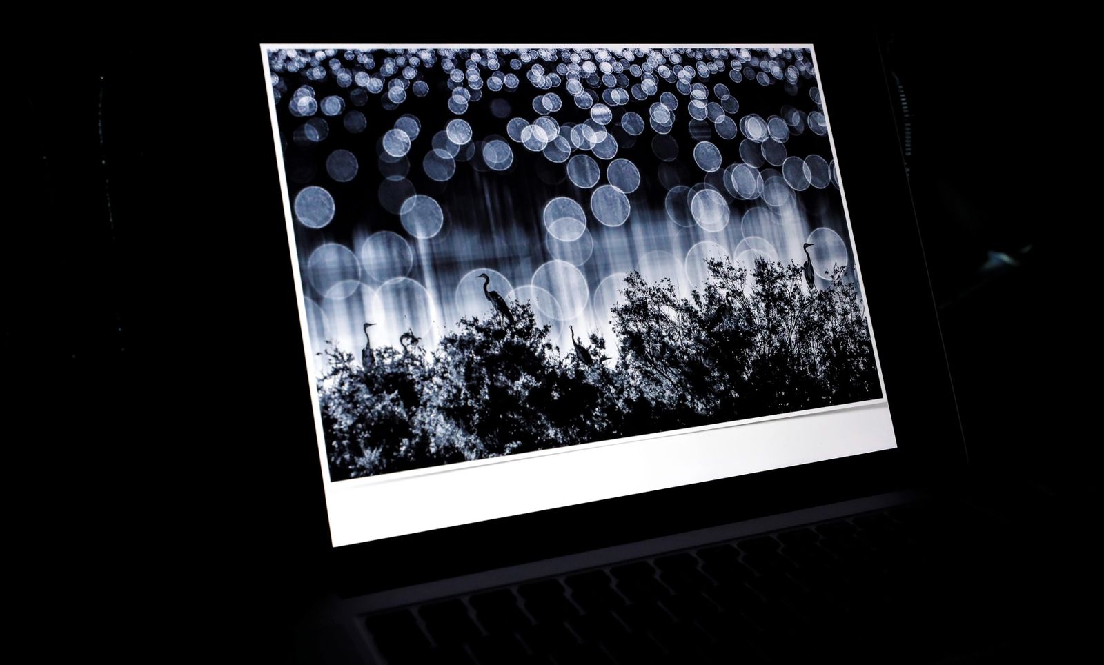 Las imágenes del Photo Nature Andalucía