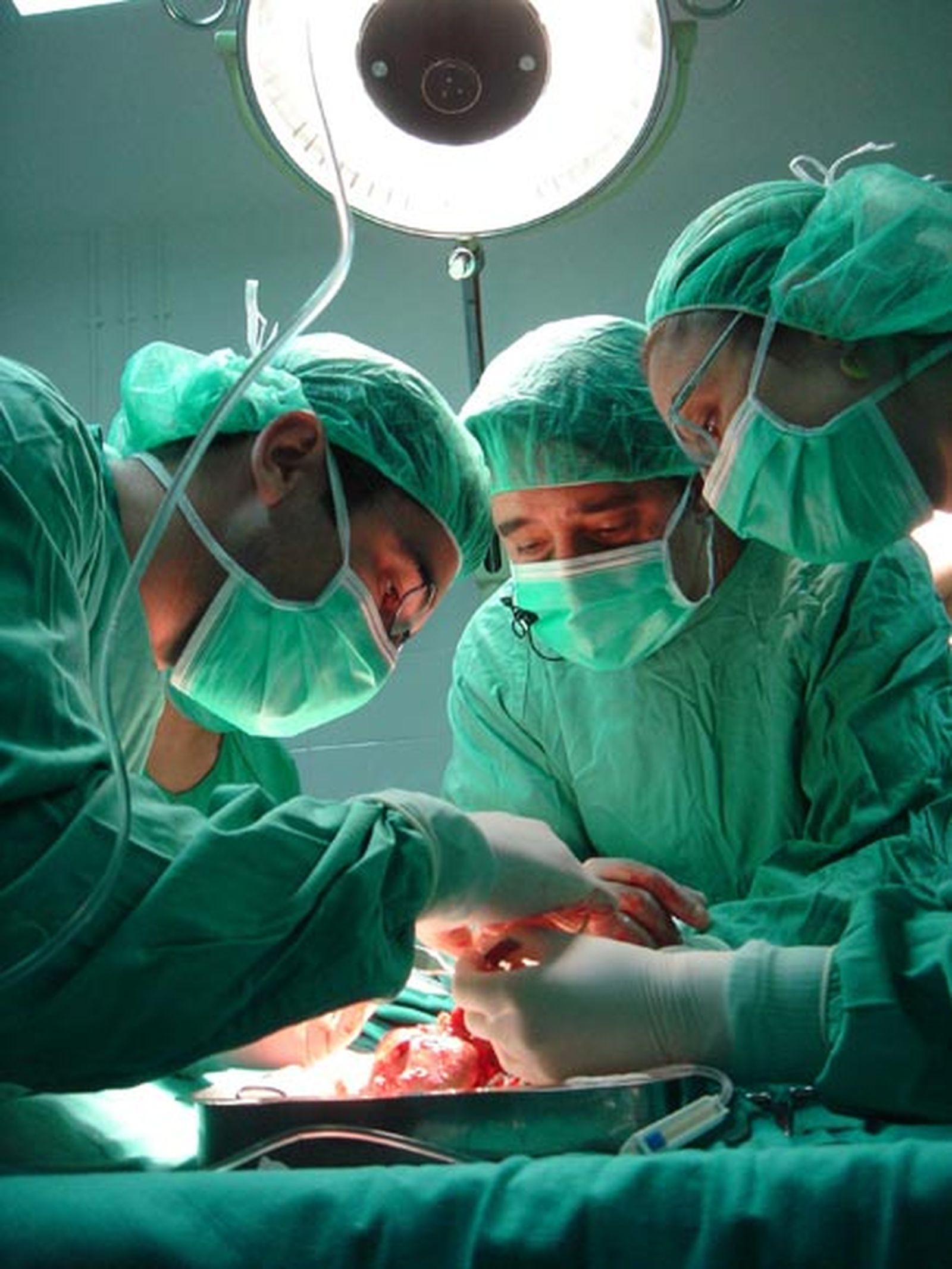 El 17,3% de las donaciones de órganos en la UE se hicieron en España