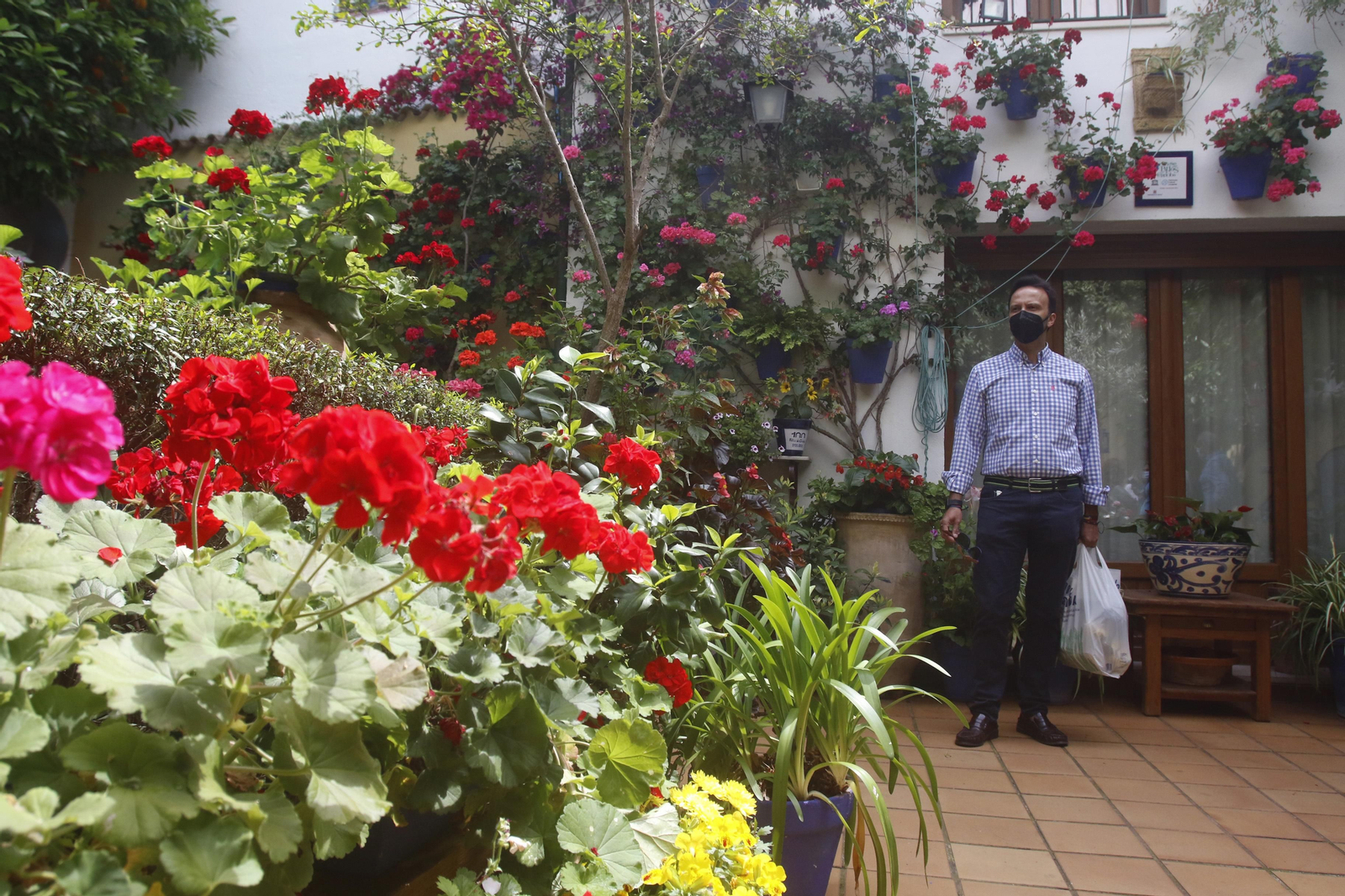 Ruta Regina - Realejo de los Patios de Córdoba, en imágenes