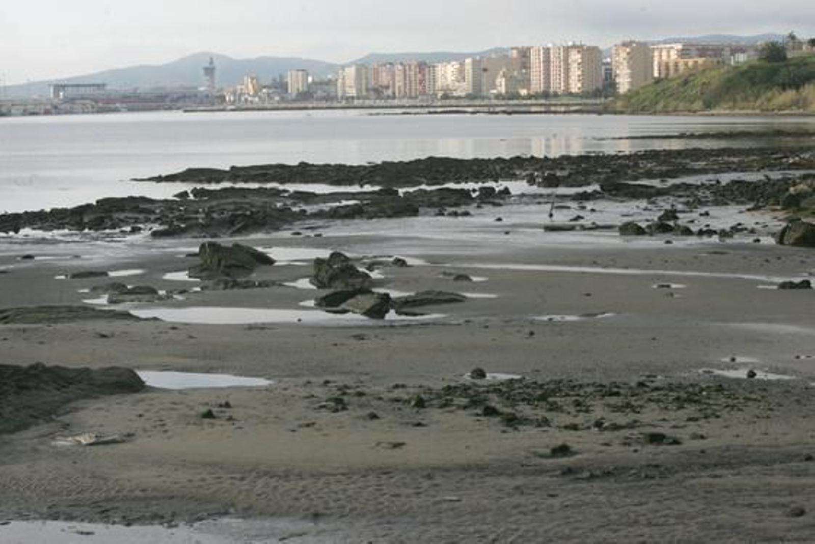 La marea histórica se vivió en las playas del Campo de Gibraltar con mucha espectación, sobre todo en la de Poniente de La Línea y El Rinconcillo de Algeciras./Fotos:Paco Guerrero/Shus Terán/J.M.Quiñones

Foto: Paco Guerrero/J.M.Q./Shus Teran/
