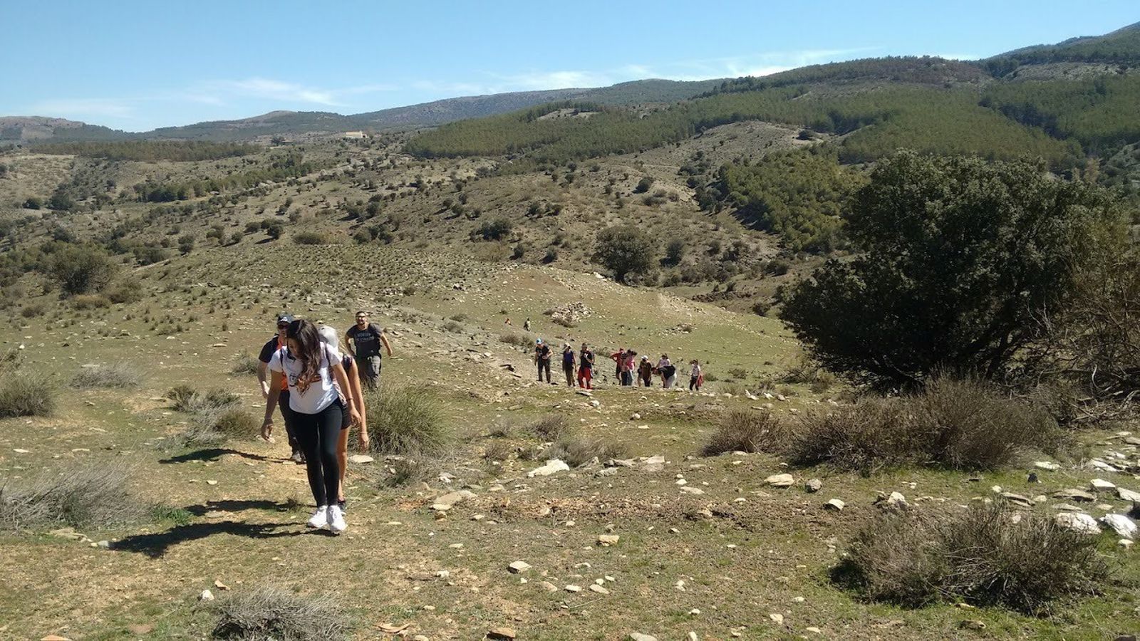 De paseo hasta las encinas más singulares de Serón
