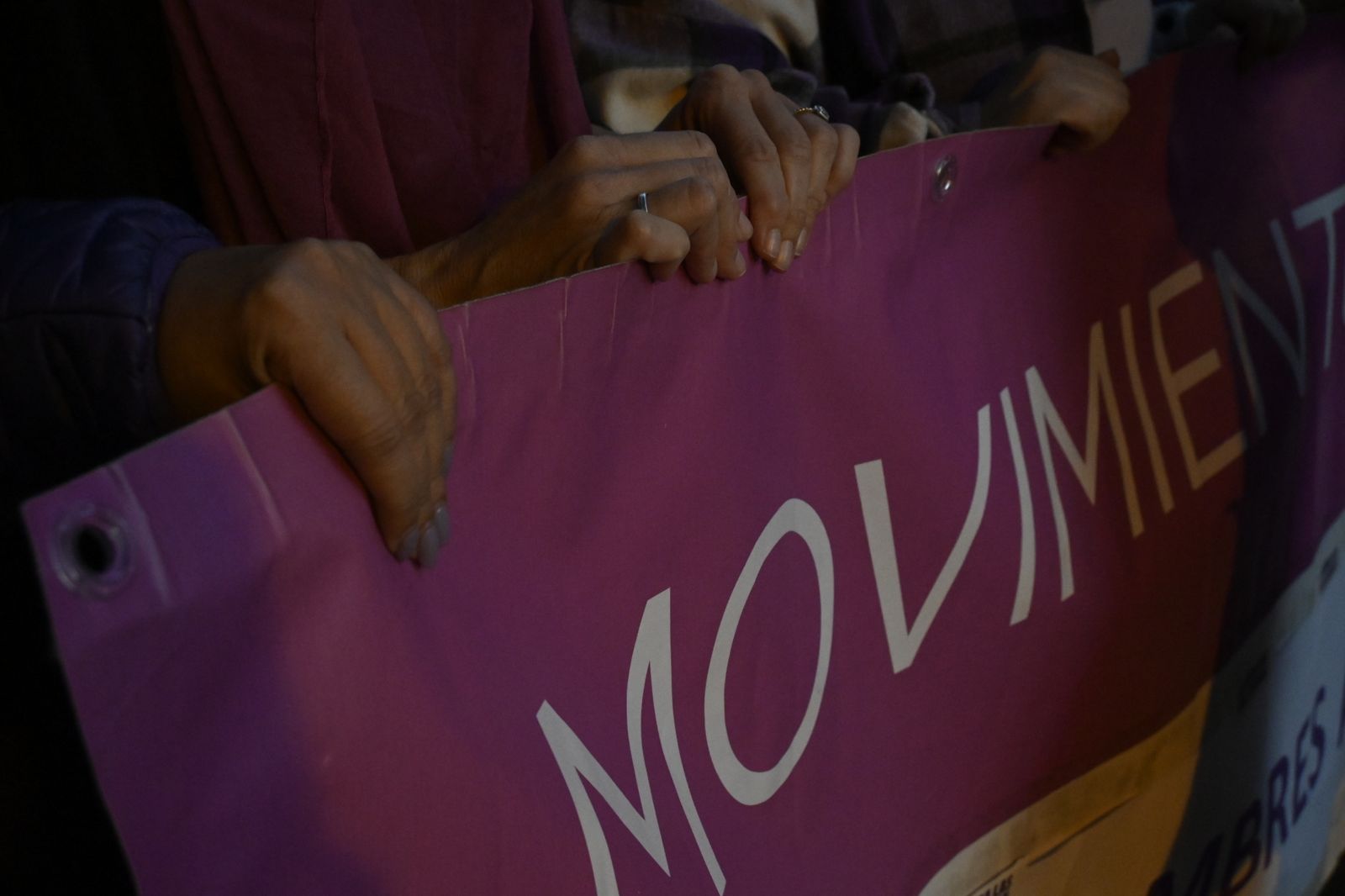 Manifestación del 25N en Imágenes.