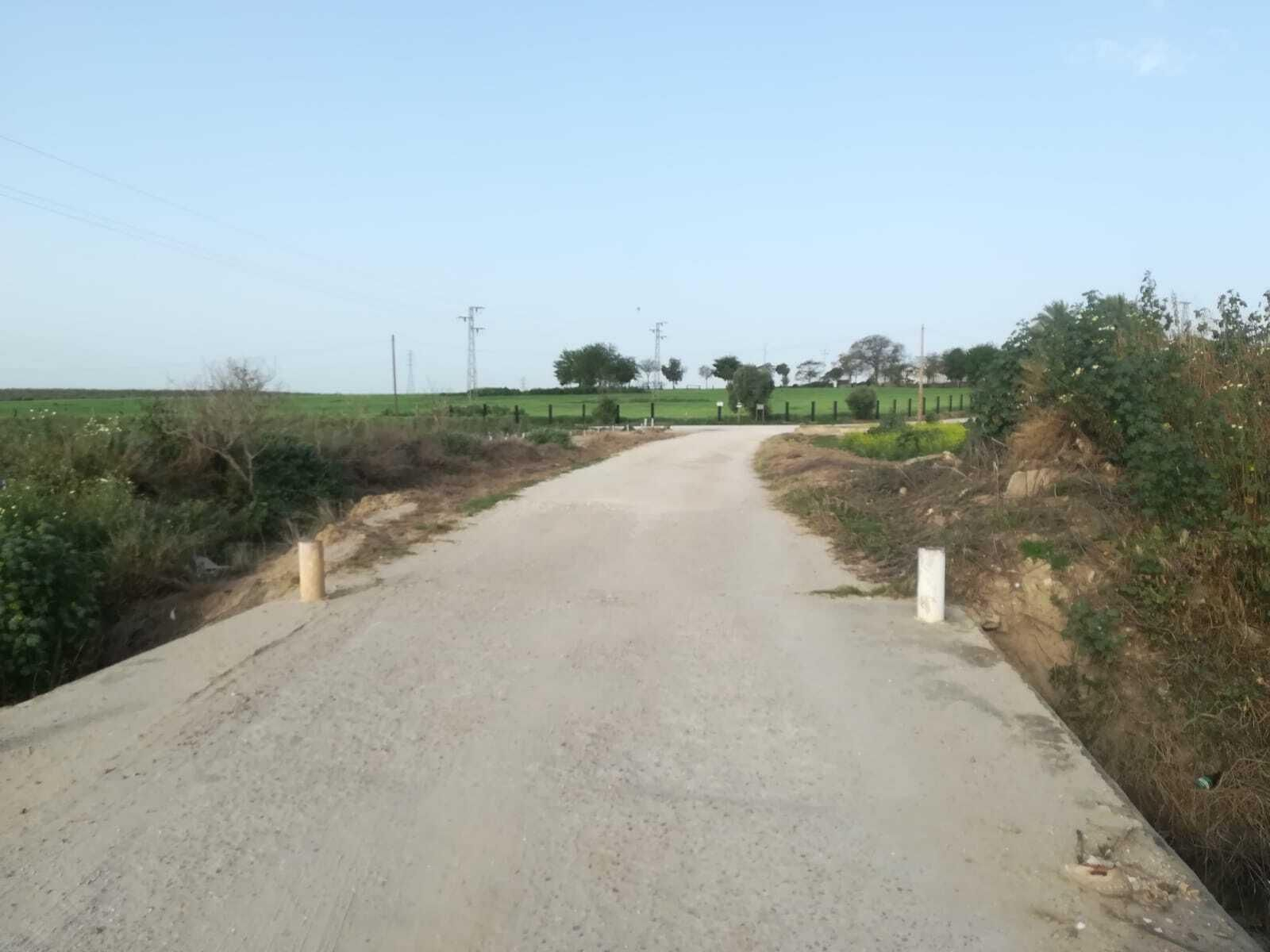 Fotos de la ruta Umbrete-Ermita de Cuatrovitas