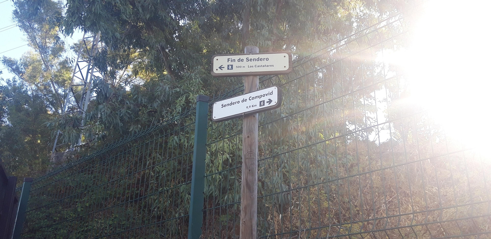 Las fotos de la Circular del Campovid