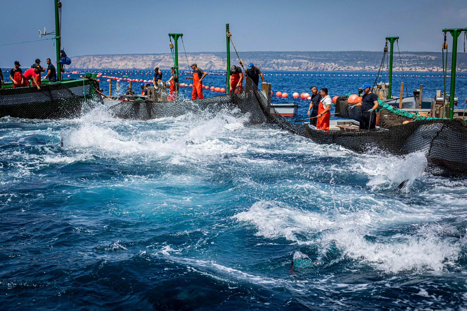 La huelga de los inspectores de pesca ha afetado a las almadrabas de Cádiz. La huelga de los inspectores de pesca ha afetado a las almadrabas de Cádiz.