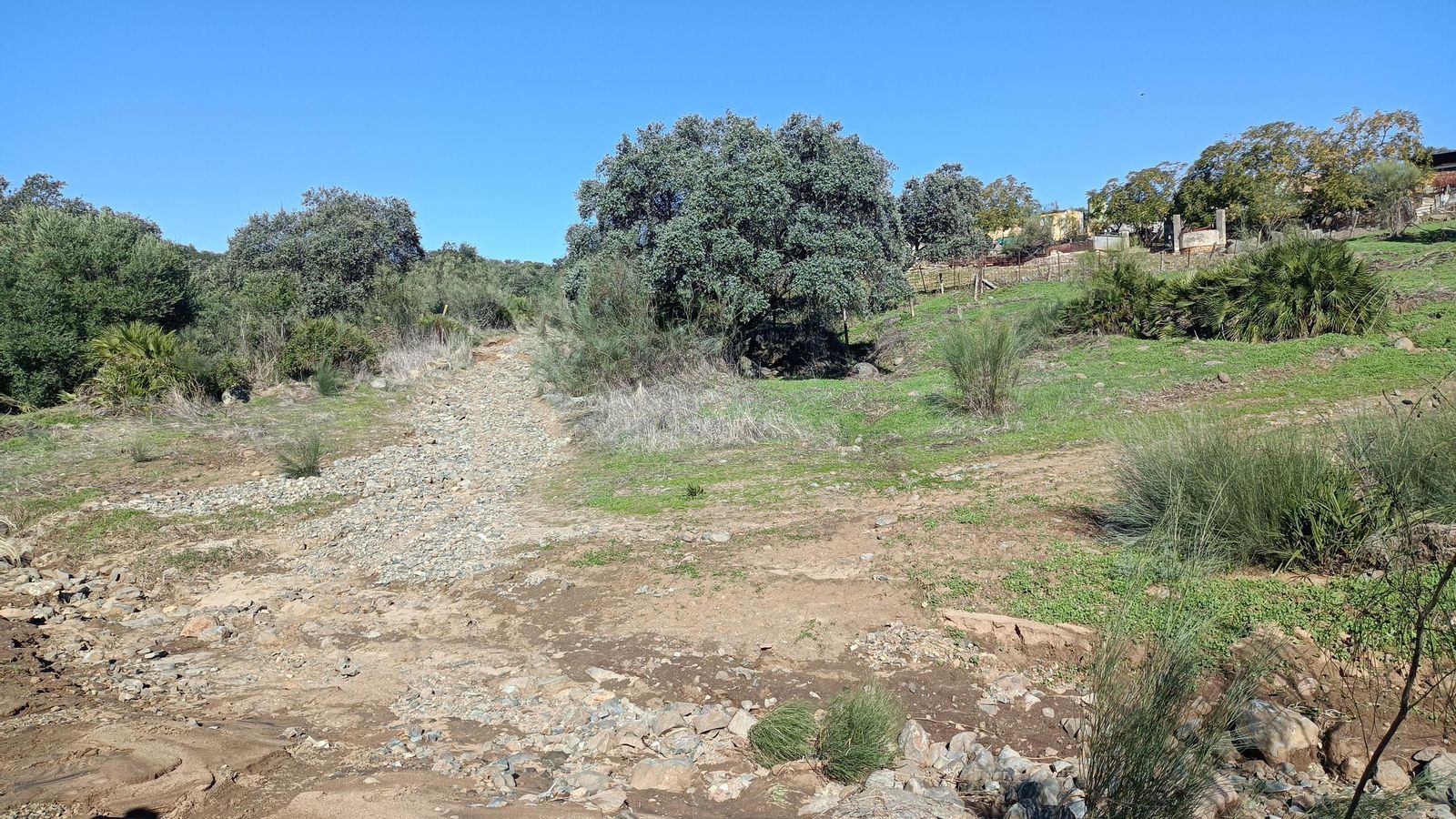 Repecho final antes de alcanzar Castilblanco de los Arroyos.