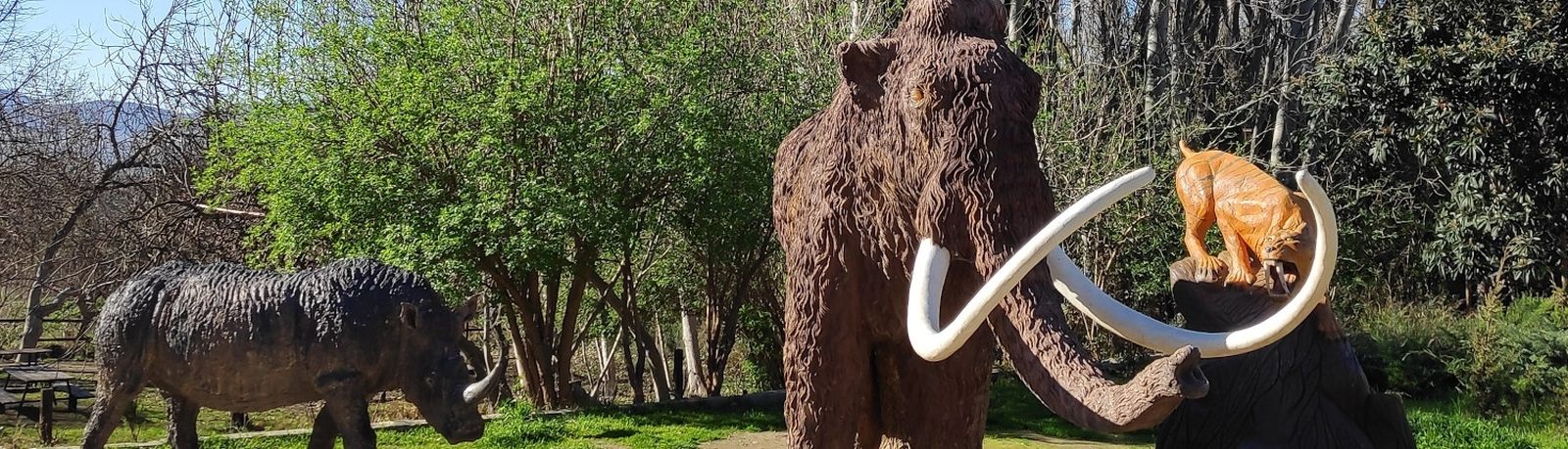 Los senderos muestran las zonas en las que vivieron varios animales prehistóricos