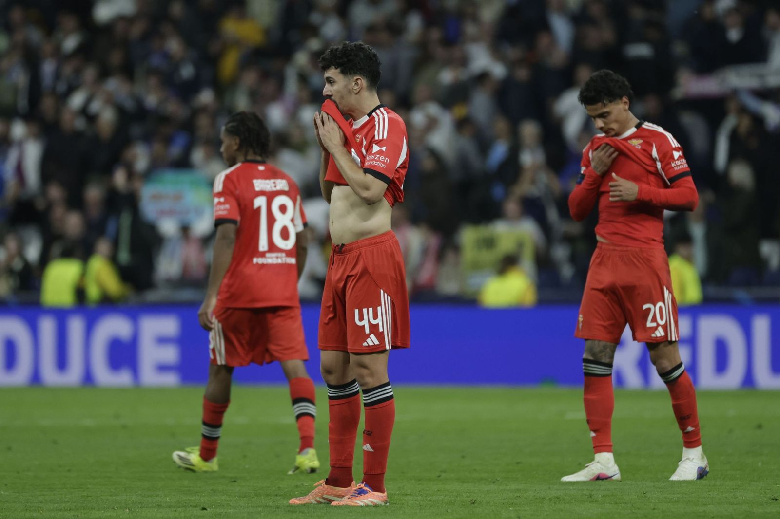 Las fotos del Real Madrid-Benfica