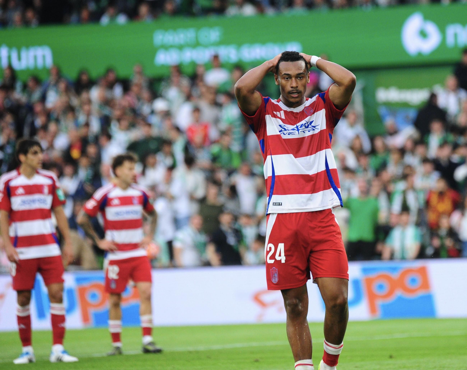 Las mejores imágenes del Racing de Santander-Granada CF