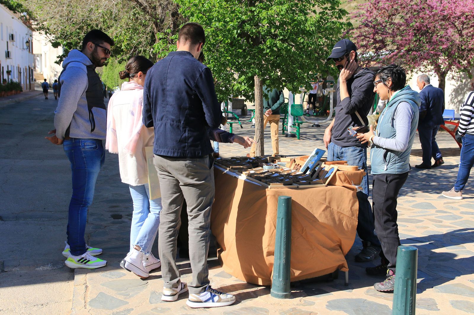 Homenaje al Olivo en Abrucena
