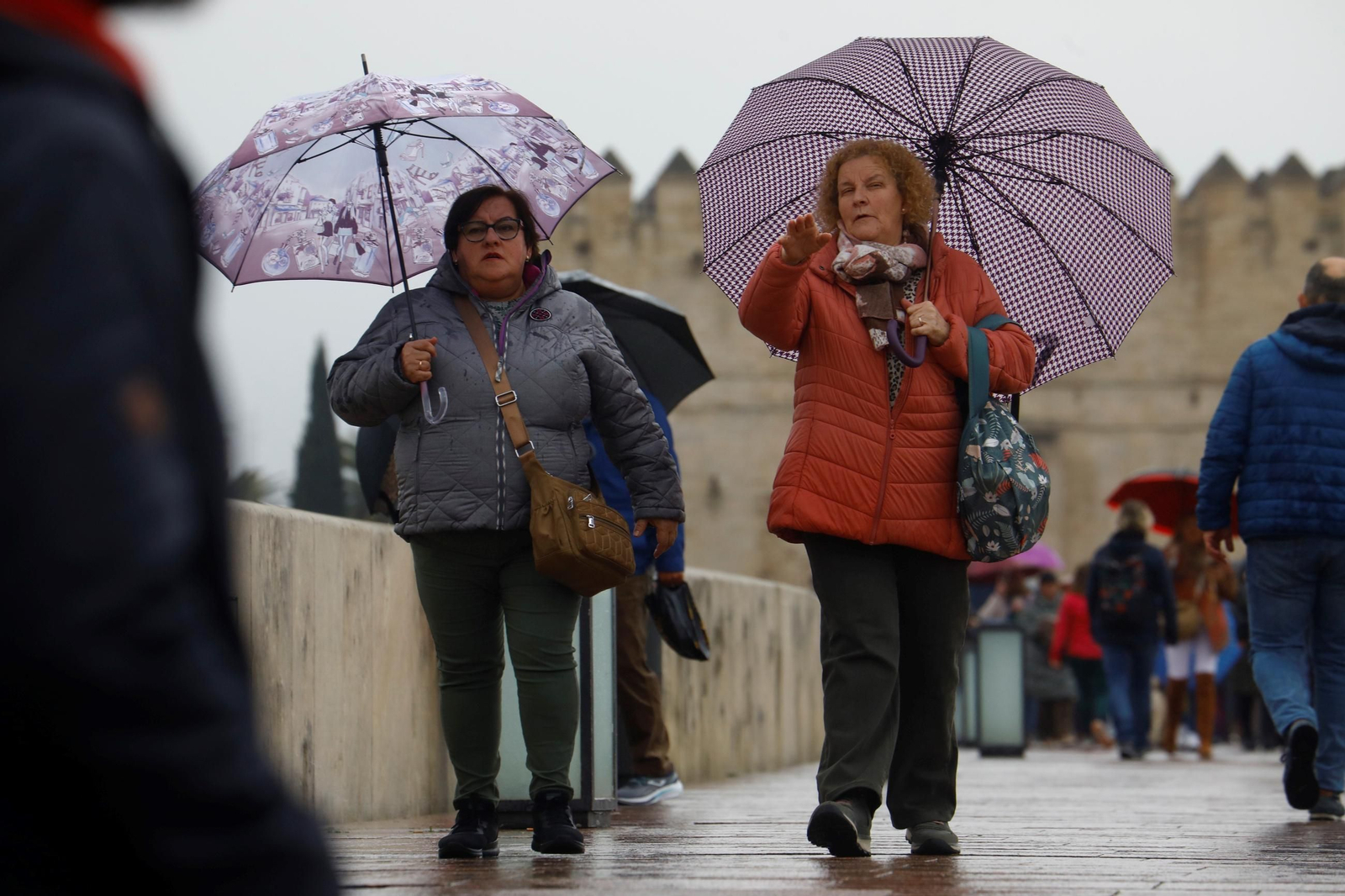 El paso de la borrasca Herminia por Córdoba, en imágenes