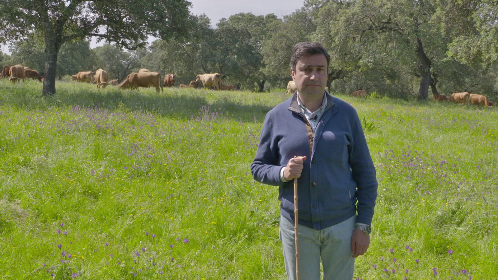El ganadero de Almonaster la Real de la entrega de hoy de 'Campechanos'
