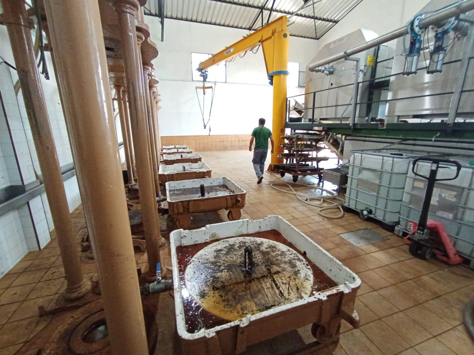 Las paseras de Montilla-Moriles a pleno rendimiento, en imágenes