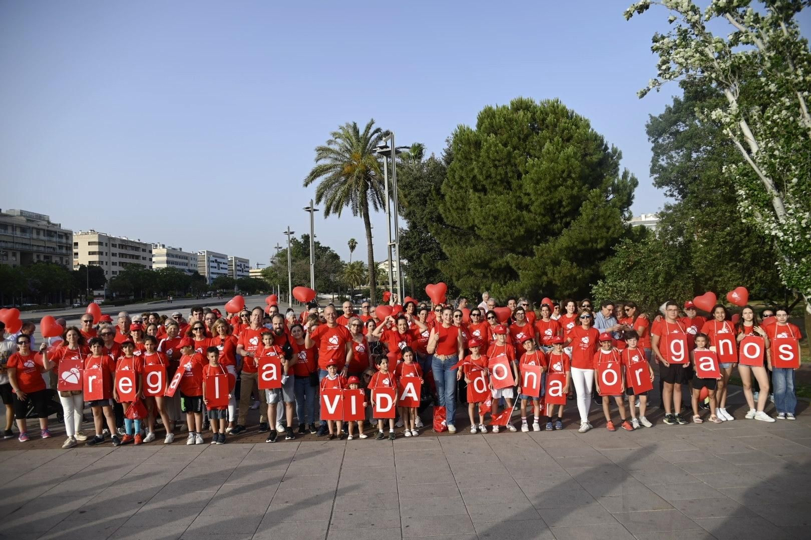 Las mejores fotos de la marcha que cierra la XXII Semana de la Donación en Córdoba