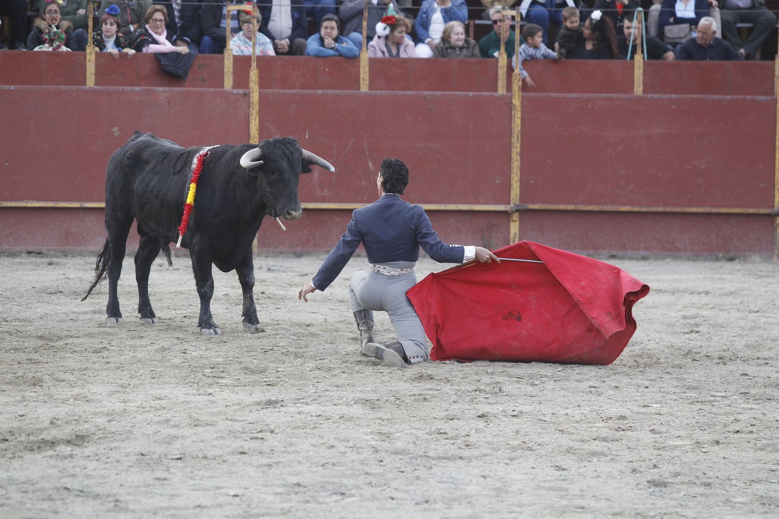 Fotogalería Festival Taurino Mixto. Fiestas de Abrucena.