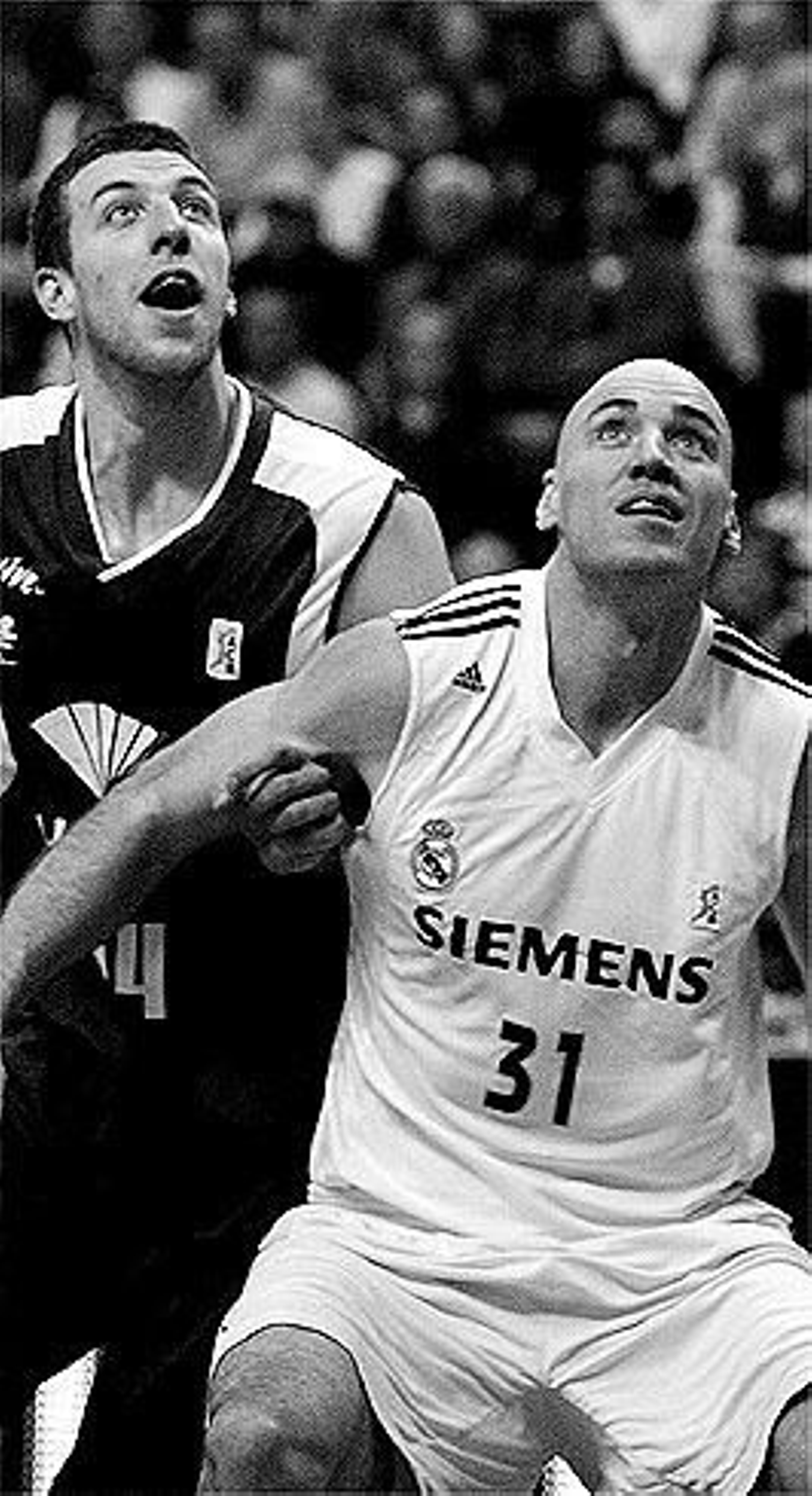 La carrera de Fran Vázquez, en fotos