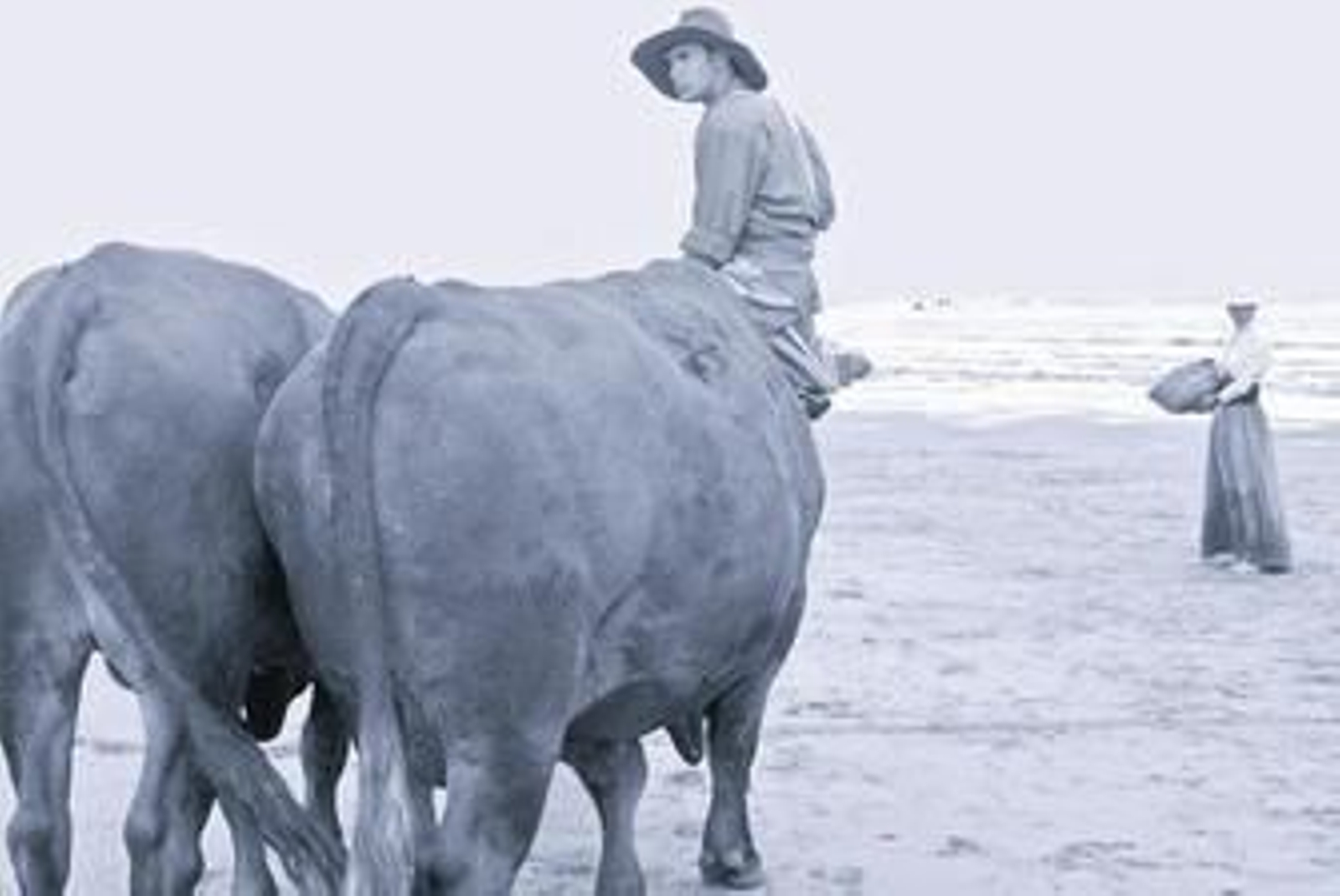 Tras los pasos de Joaquín Sorolla