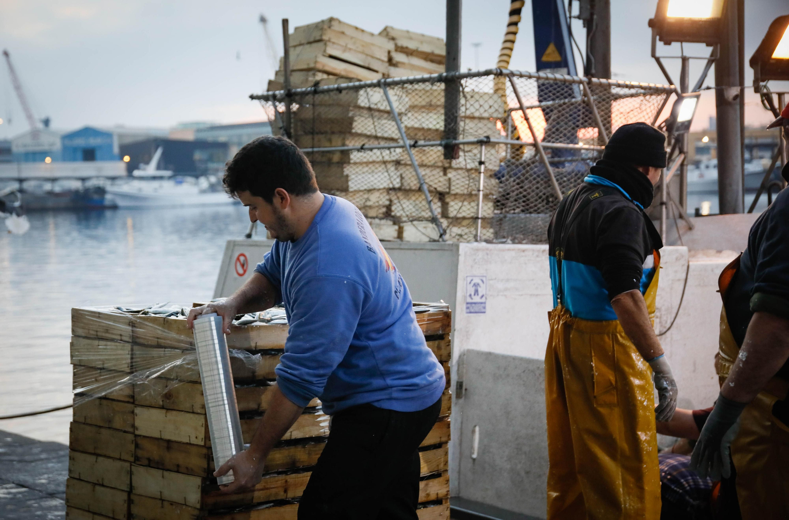 Te contamos en imágenes como ha sido la descarga de las traiñas en la lonja de Almería
