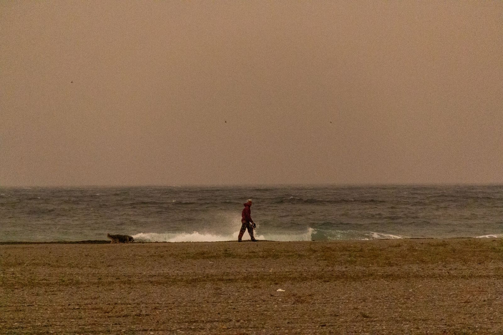 La calima tiñe la Costa de sepia dos años después