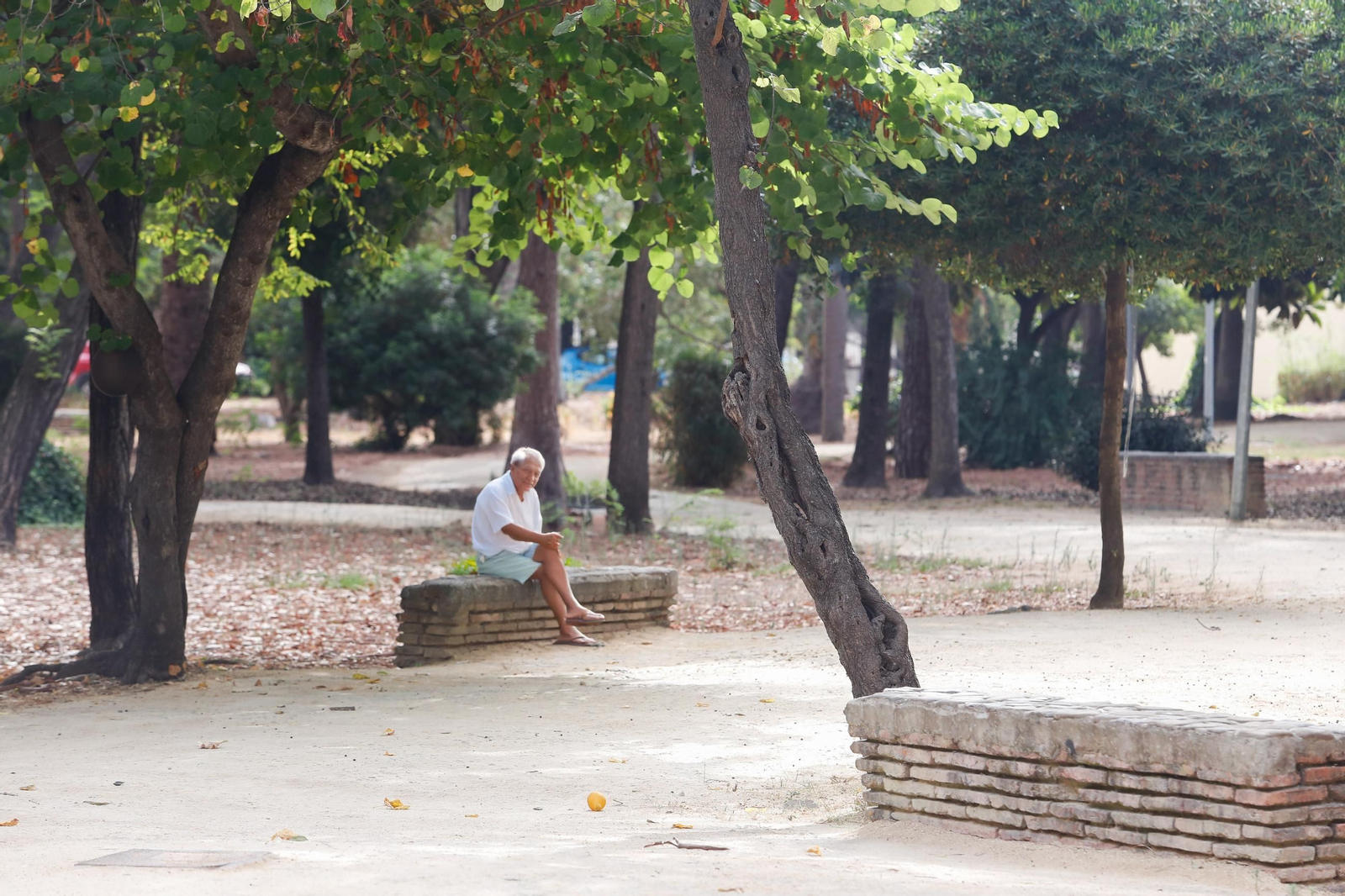 Fotos del Parque de las Acacias, en Villa Smith