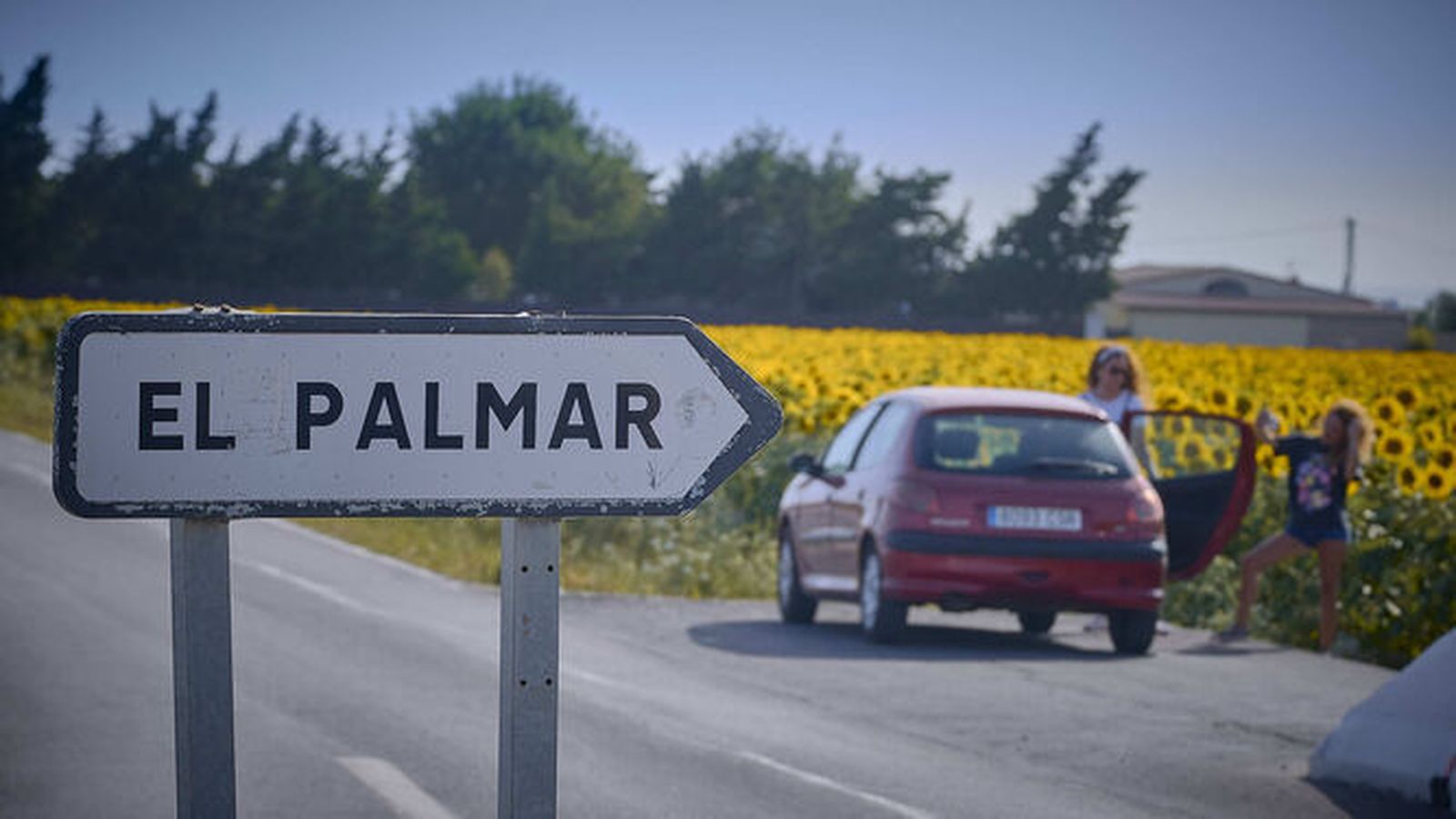 Indicaciones para llegar a El Palmar.