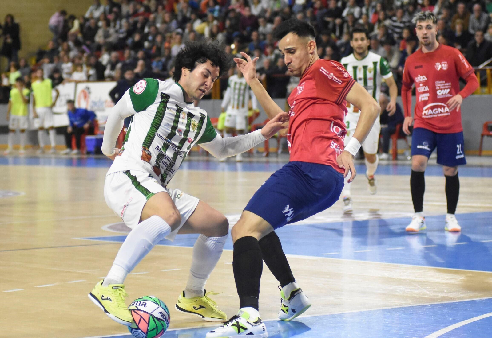 Las mejores fotos del triunfo del Córdoba Futsal ante Osasuna Magna Las mejores fotos del triunfo del Córdoba Futsal ante Osasuna Magna