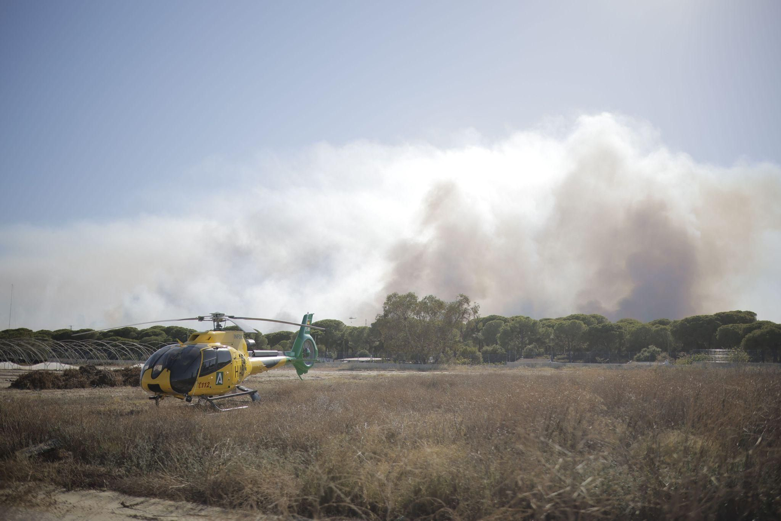 Las imágenes del incendio en Bonares en el que actúan cerca de 20 medios aéreos