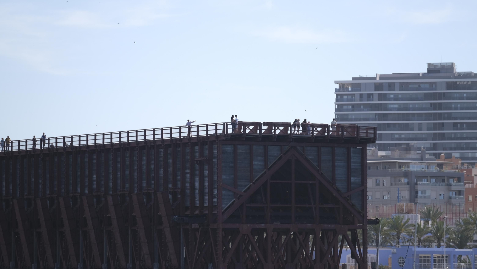 Imágenes de la Carrera del Puerto de Almería 2023