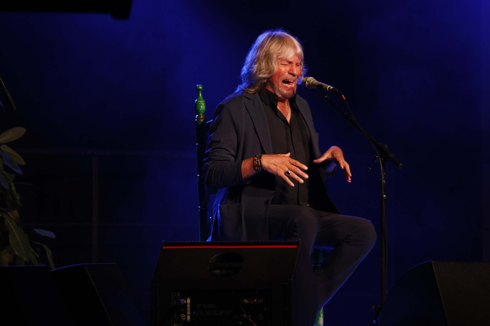 Fotos de la noche flamenca con José Mercé en La Línea