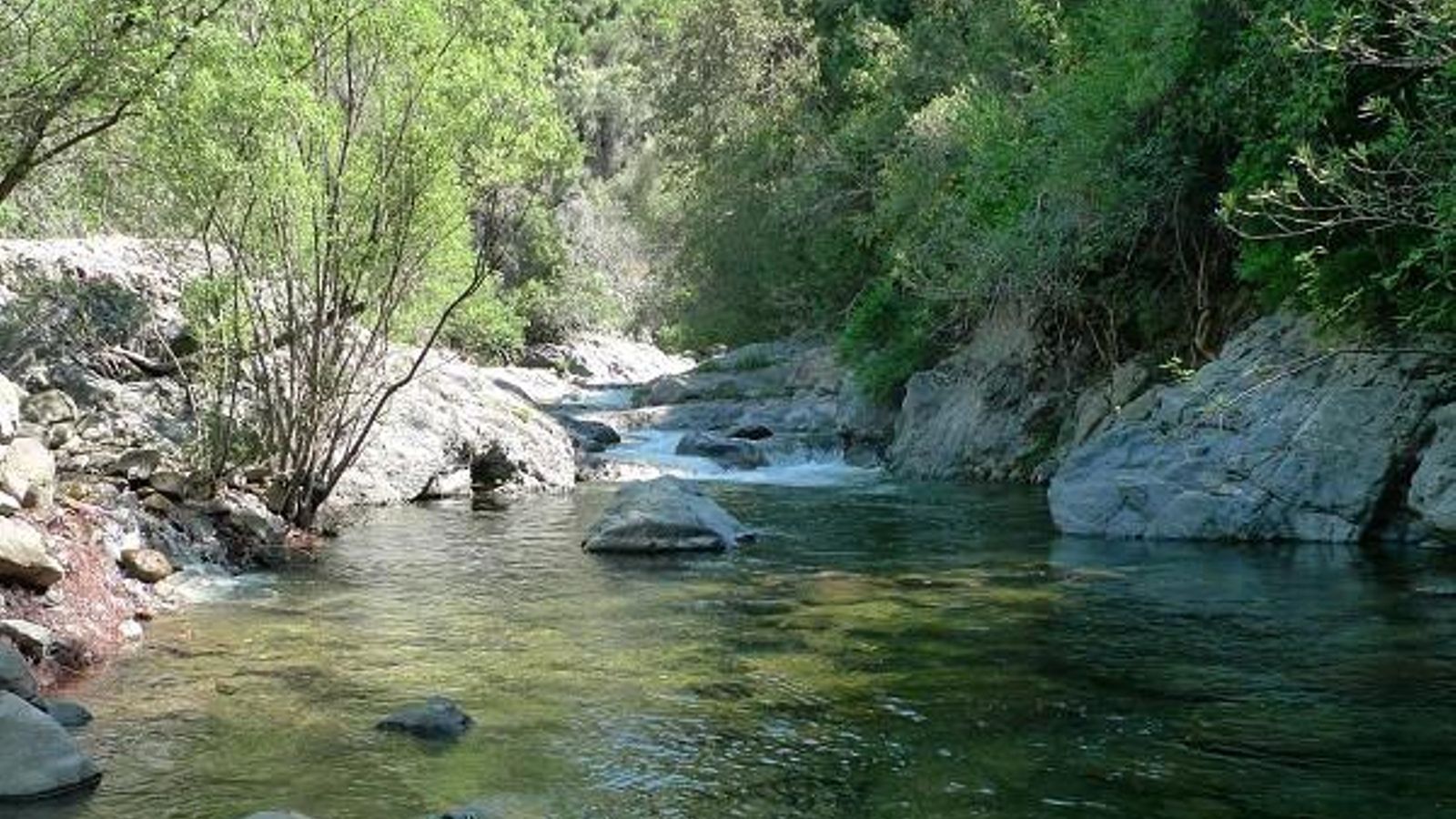 Uno de los charcos de la ruta del río Verde en Istán.