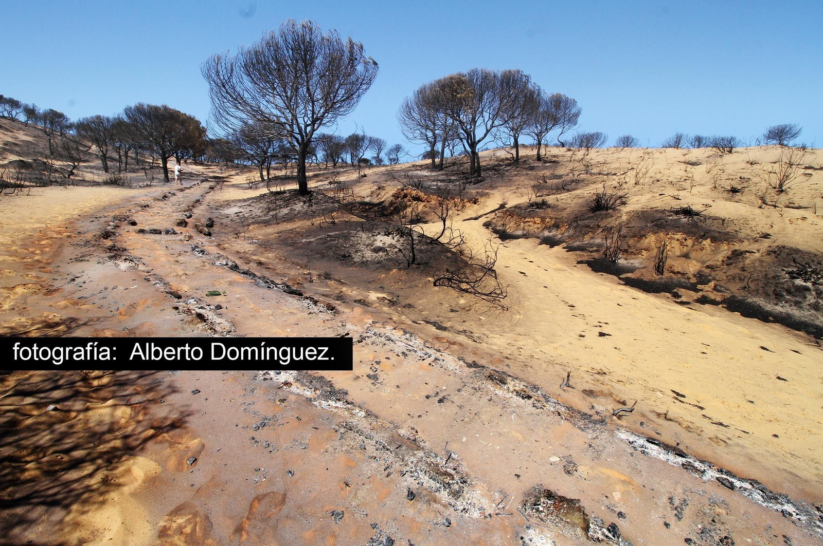 Imágenes de Cuesta Maneli tras el incendio.