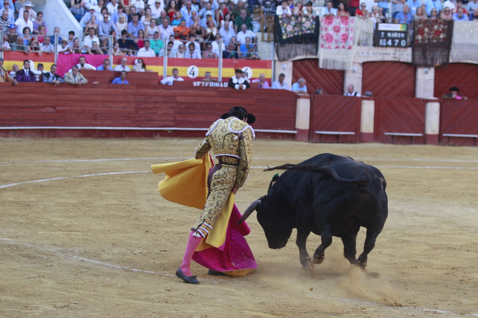 Imágenes del triunfo del torero almeriense Jorge Martínez el día de su alternativa
