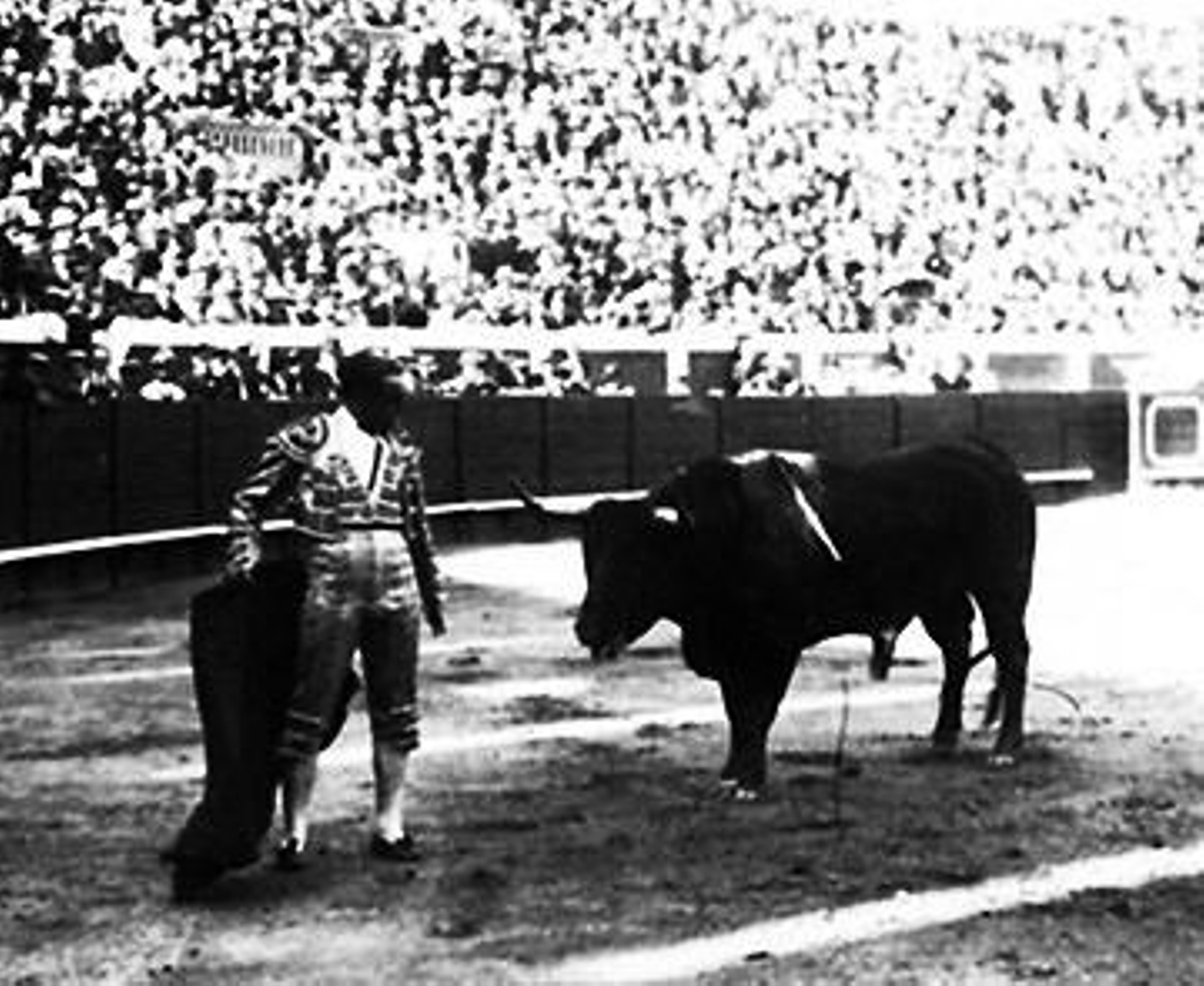 Así era la desaparecida plaza de toros Monumental de Sevilla