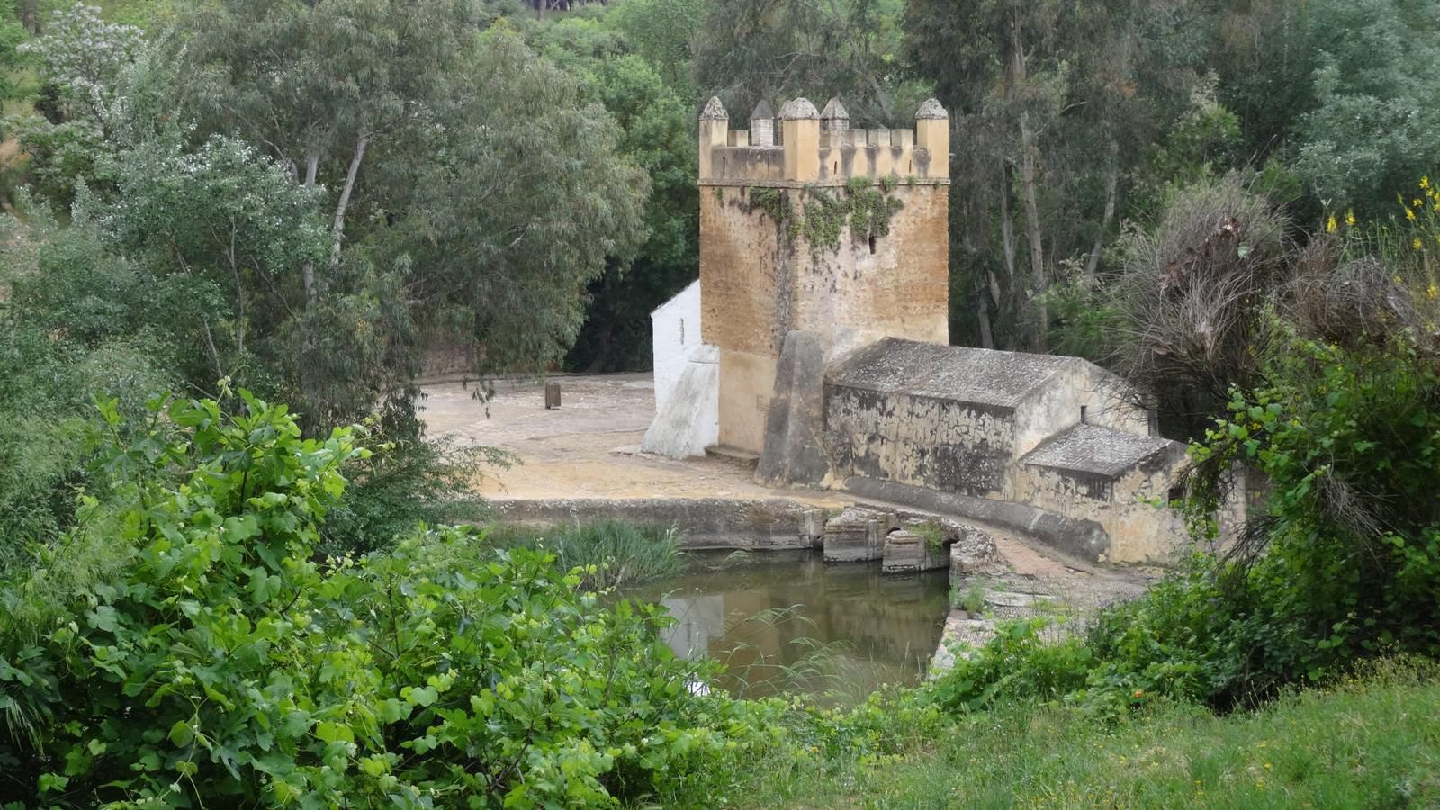 Se realizarán visitas teatralizadas al Molino del Algarrobo.