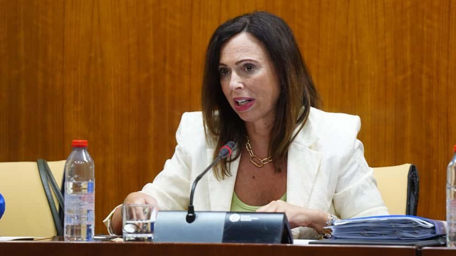 Comparecencia de la consejera de Fomento en comisión parlamentaria