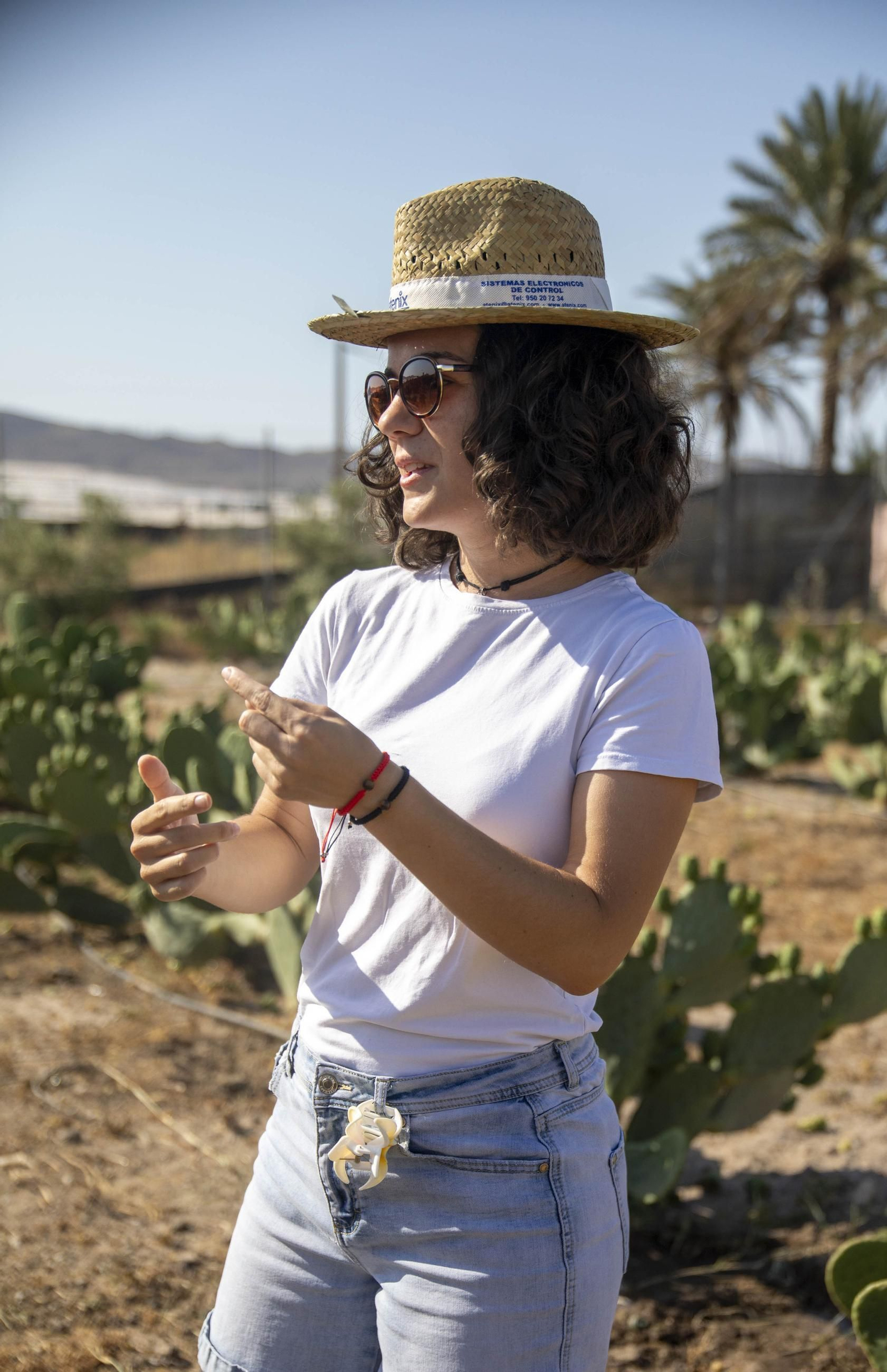 Plantación de chumbos de Níjar