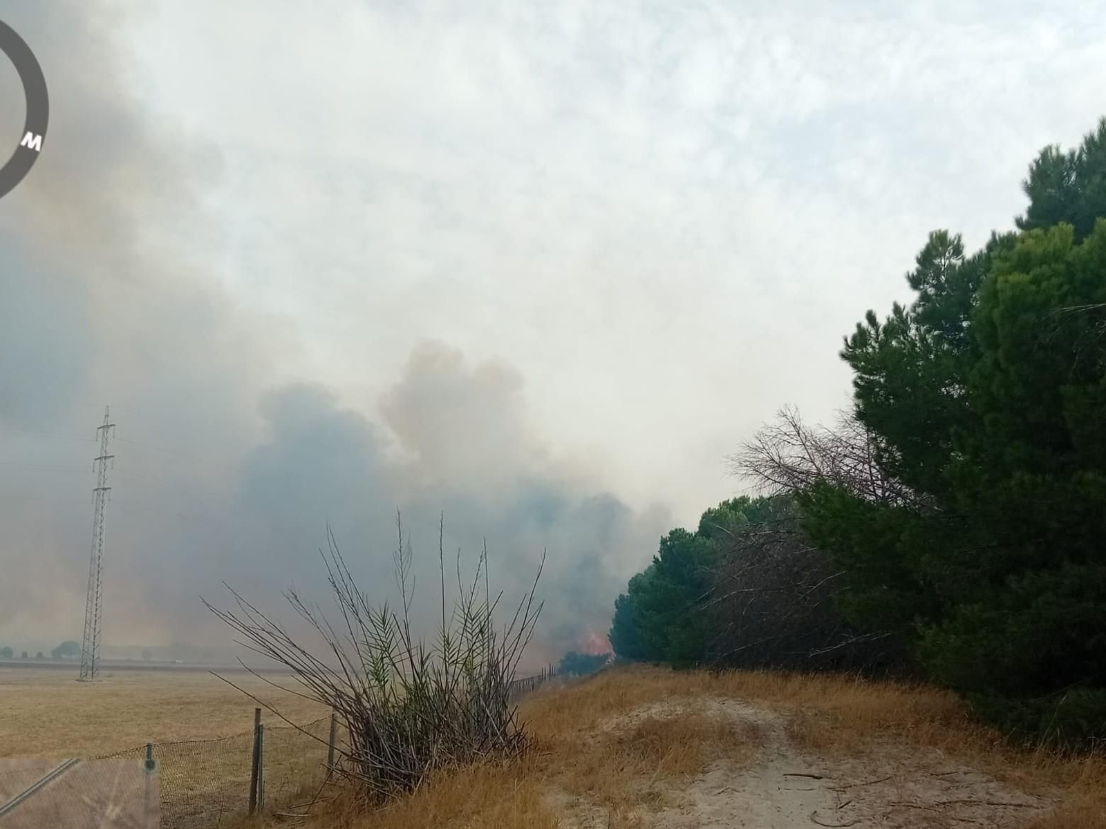 Incendio en el paraje Matalagrana, en el término municipal de Almonte junto a Doñana.