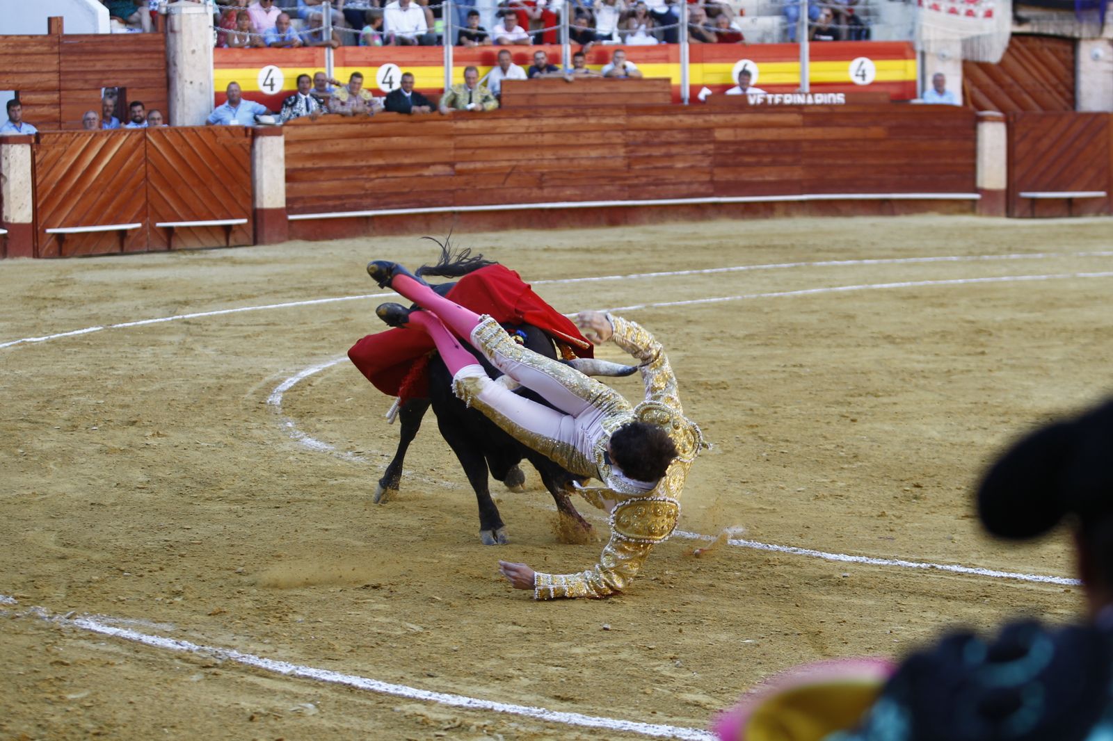 Fotogalería de la novillada de la Feria Taurina de Almería 2022