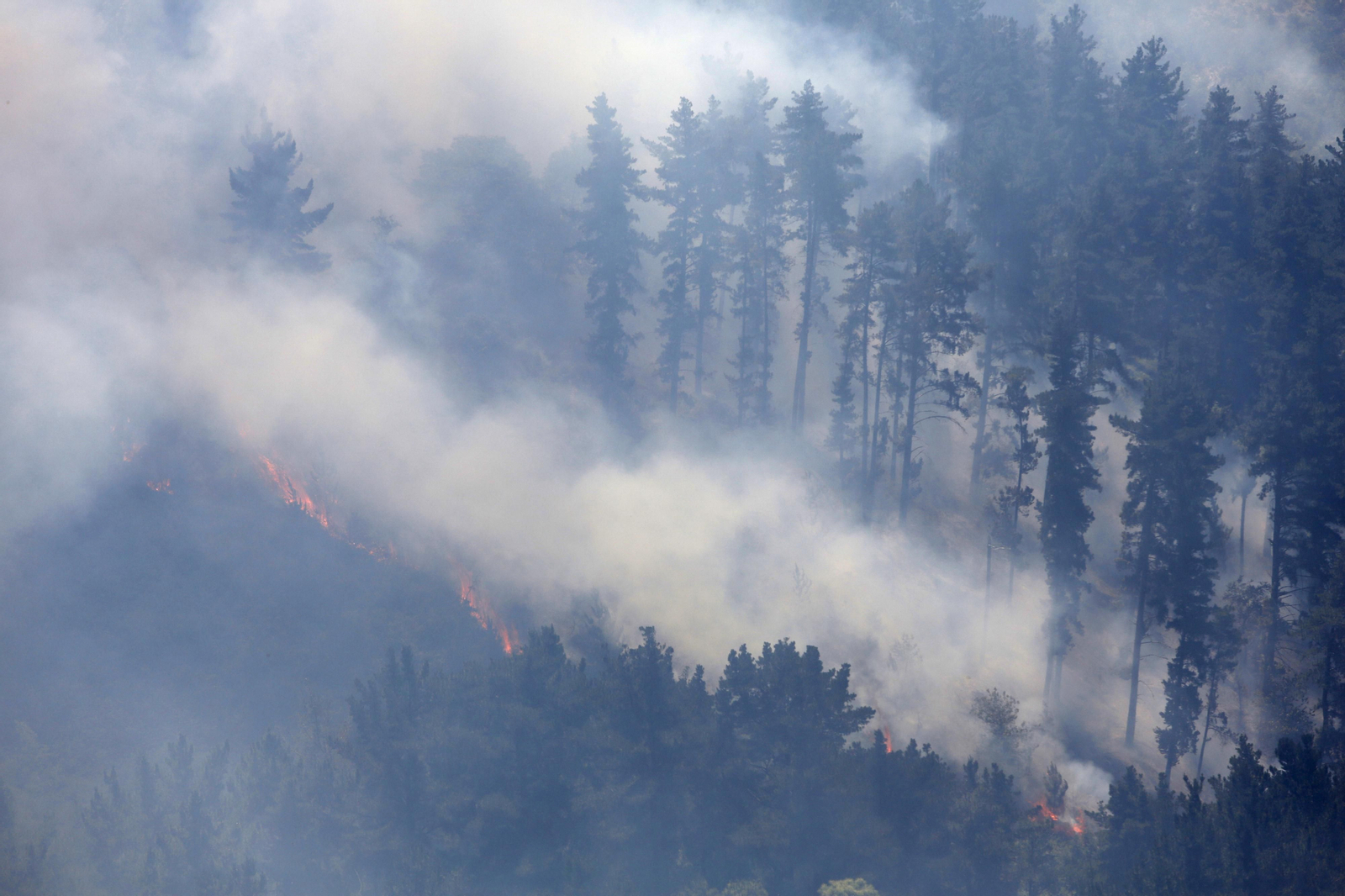 Las fotos del tercer día del incendio en Sierra Bermeja Las fotos del tercer día del incendio en Sierra Bermeja