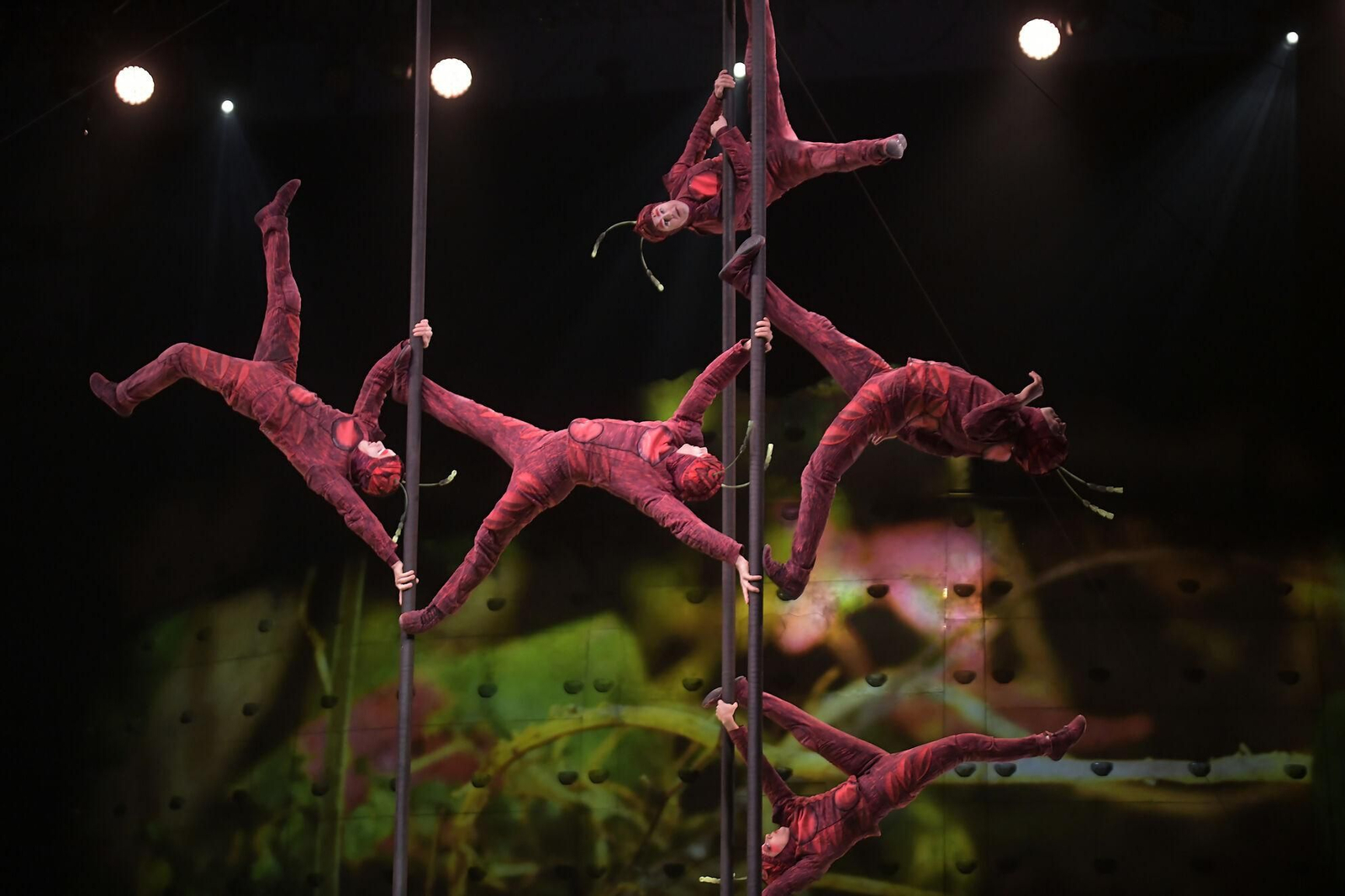 El Circo del Sol brilla en el Palacio de Deportes de Granada