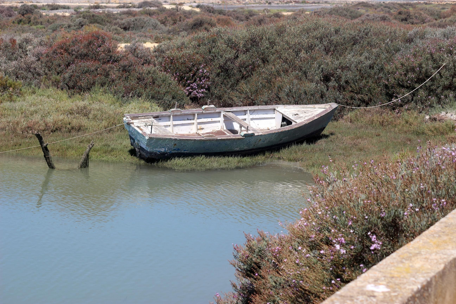 La recuperación de la Salina Balbanera, en imágenes