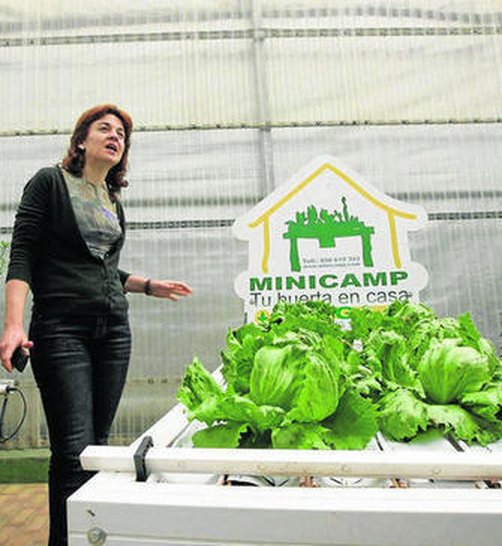 Manola Belmonte, directora de NGS.