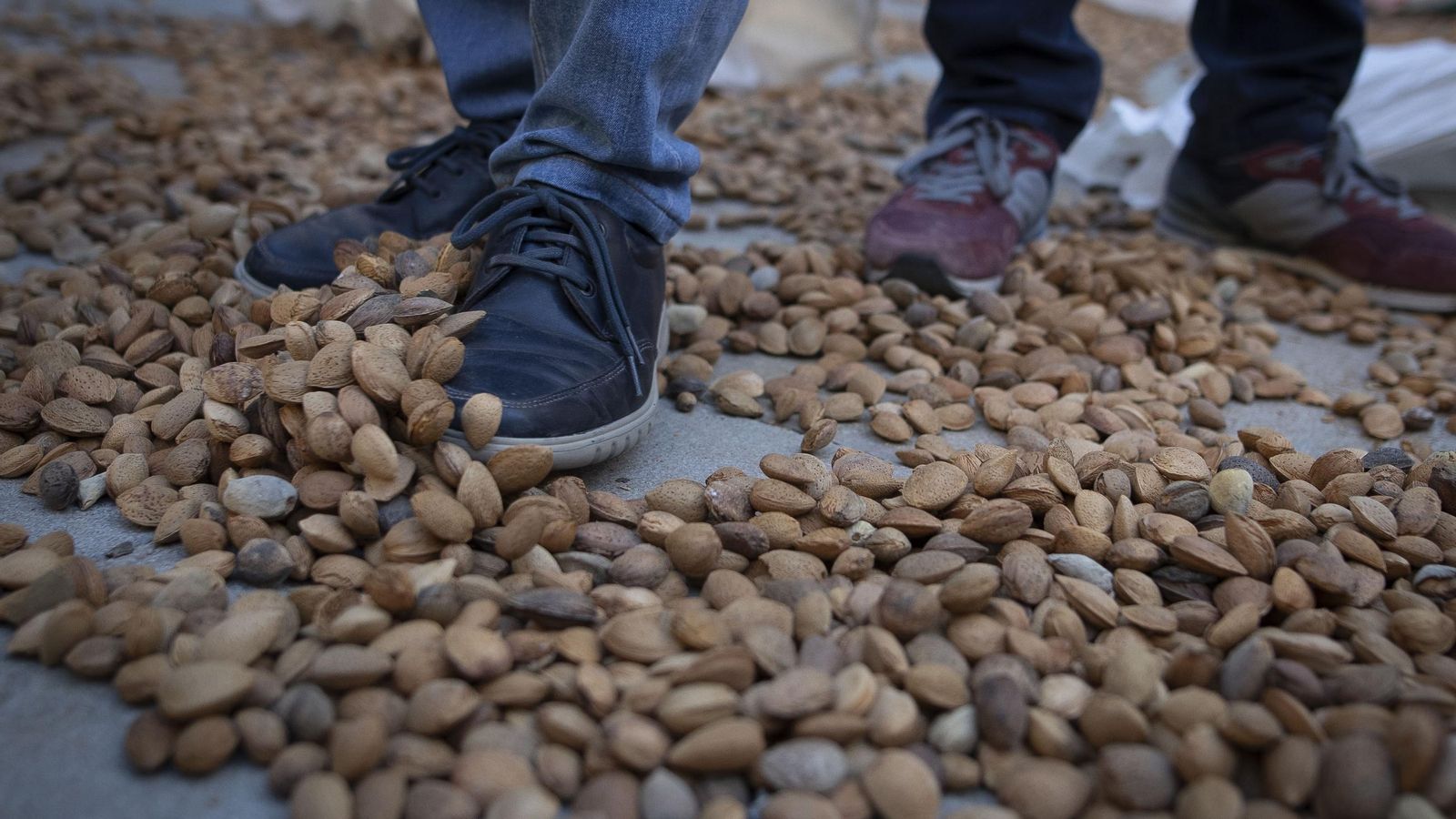 Almendras por el suelo durante una protesta llevada a cabo en Granada en marzo de 2025 Almendras por el suelo durante una protesta llevada a cabo en Granada en marzo de 2025