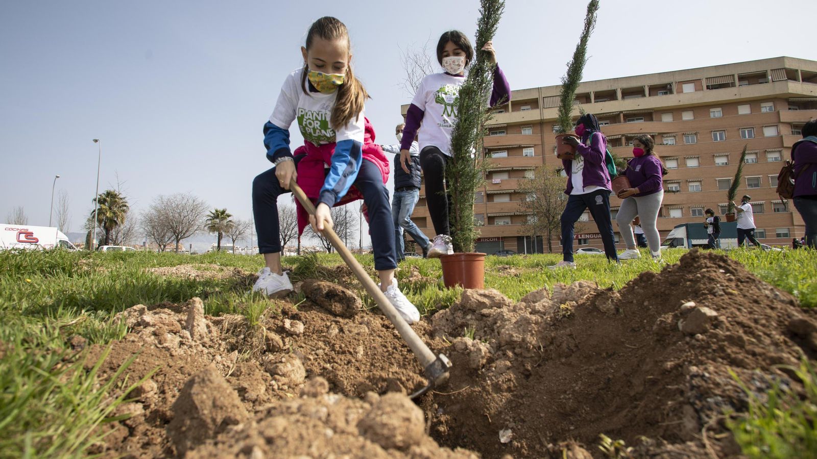 Plantación de árboles en Granada.
