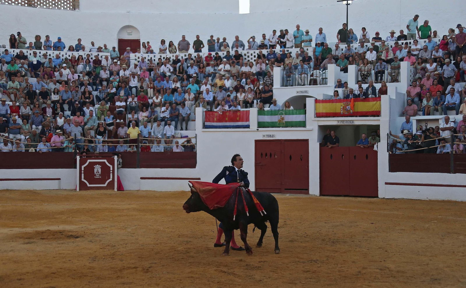 Fotos de la corrida de la reapertura de la plaza de toros de Tarifa: El Cid, Manuel Escribano y Manuel Ponce