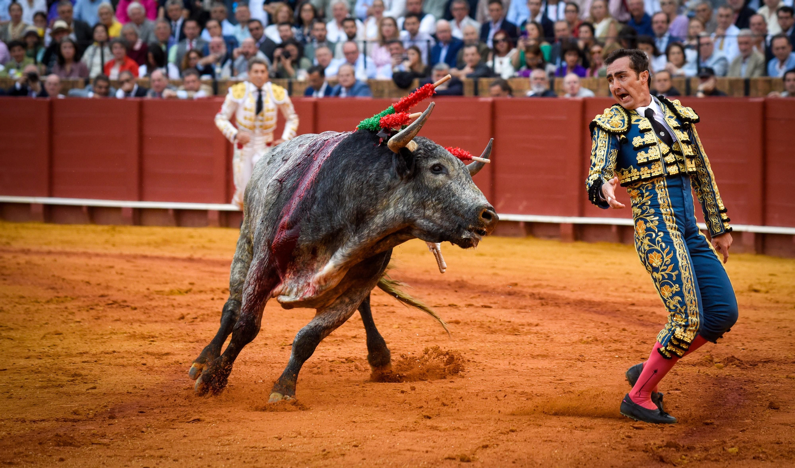 Las imágenes de la corrida de toros de El Fandi, Manuel Escribano y Esaú Fernández