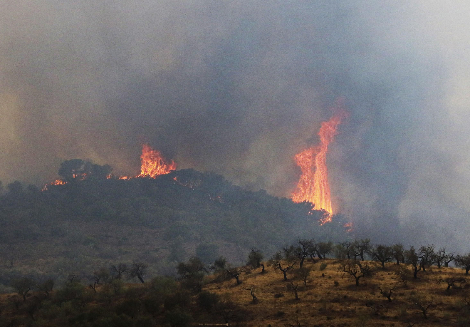 Incendio de Los Guájares (Granada), el mayor de la campaña 2022